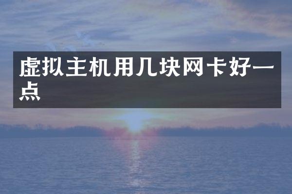 虚拟主机用几块网卡好一点