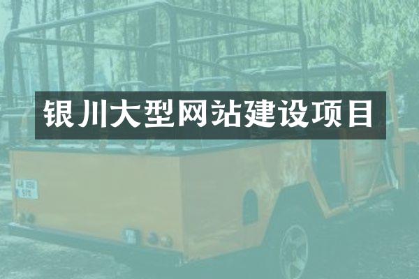 银川大型网站建设项目