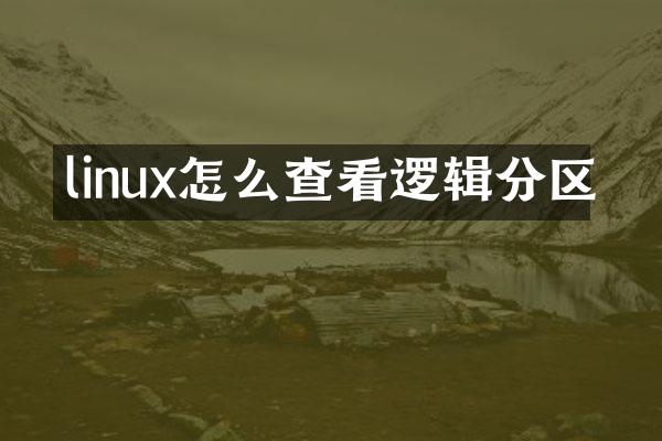 linux怎么查看逻辑分区