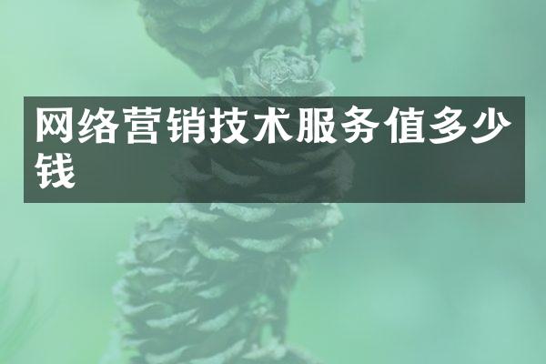 网络营销技术服务值多少钱
