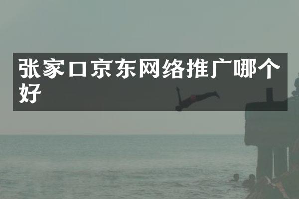 张家口京东网络推广哪个好