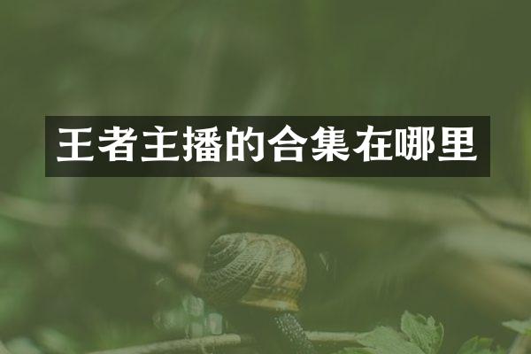 王者主播的合集在哪里