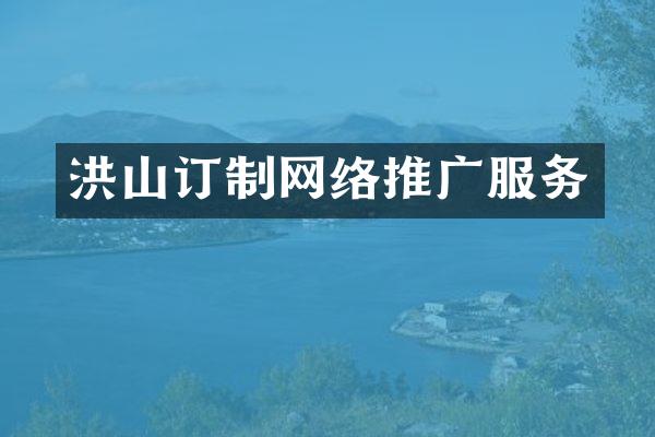 洪山订制网络推广服务