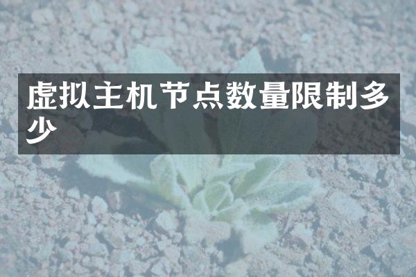 虚拟主机节点数量限制多少