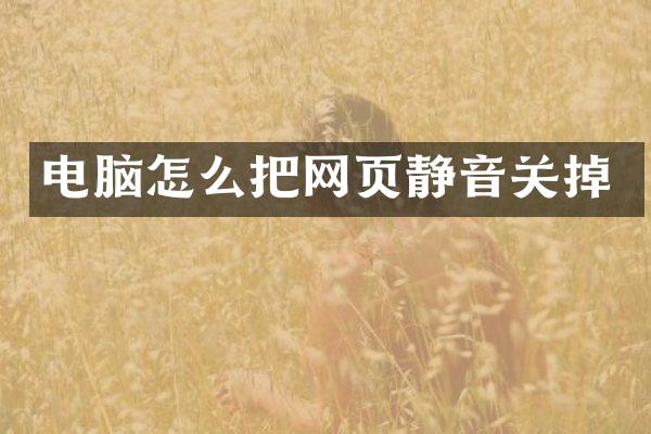 电脑怎么把网页静音关掉