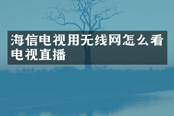 海信电视用无线网怎么看电视直播