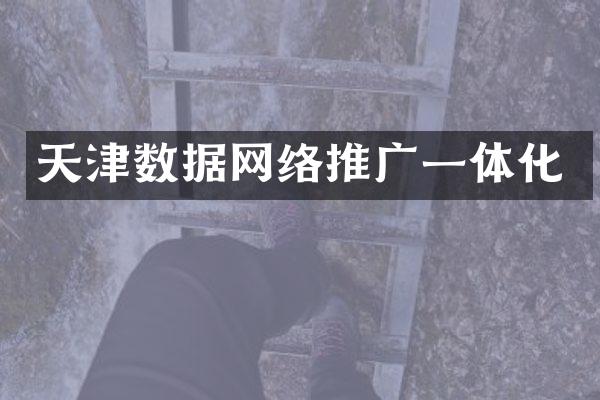 天津数据网络推广一体化