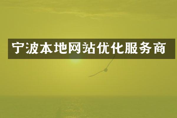 宁波本地网站优化服务商