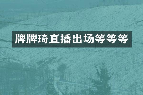 牌牌琦直播出场等等等