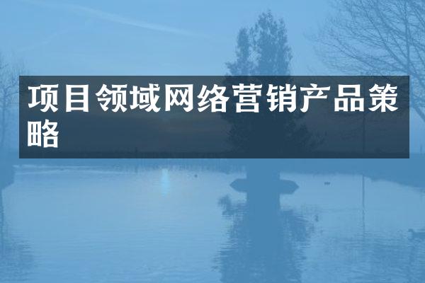 项目领域网络营销产品策略