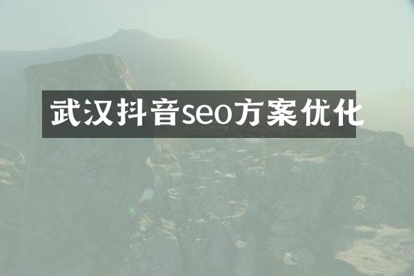 武汉抖音seo方案优化