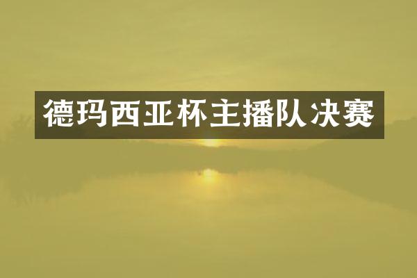 德玛西亚杯主播队决赛