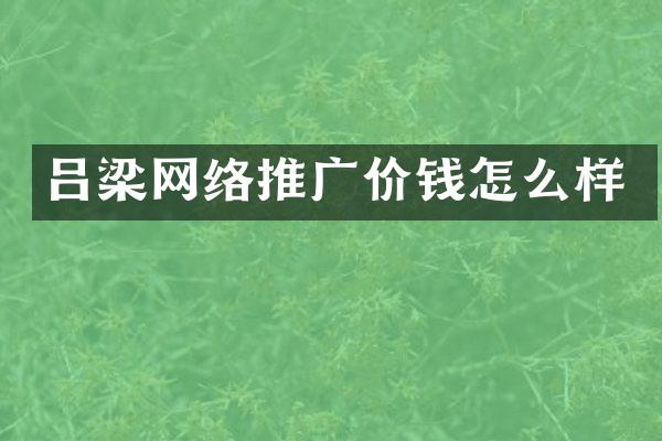 吕梁网络推广价钱怎么样