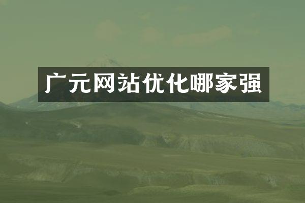 广元网站优化哪家强