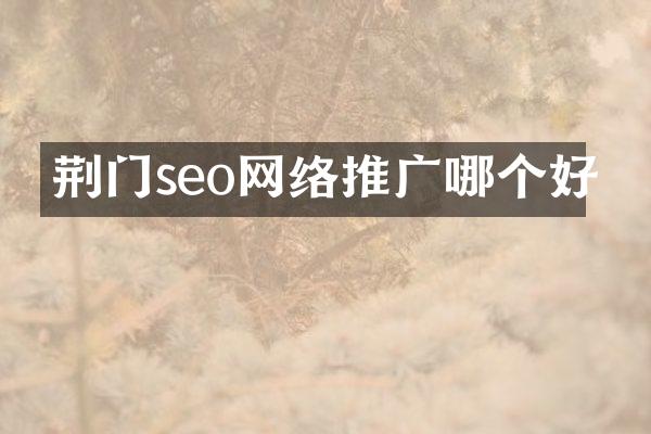 荆门seo网络推广哪个好