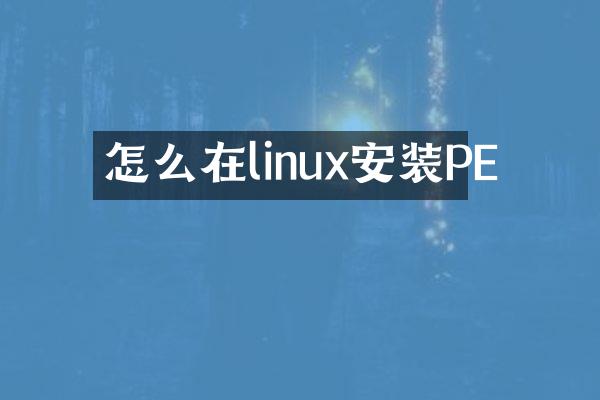 怎么在linux安装PE