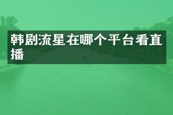 韩剧流星在哪个平台看直播