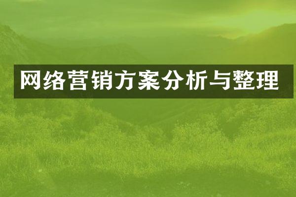 网络营销方案分析与整理