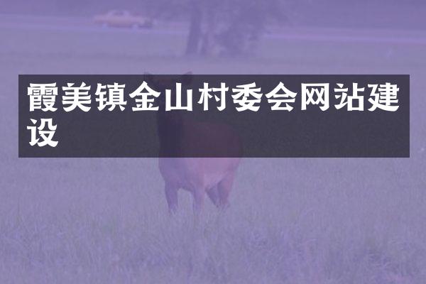 霞美镇金山村委会网站建设