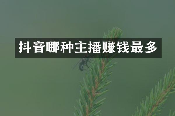 抖音哪种主播赚钱最多