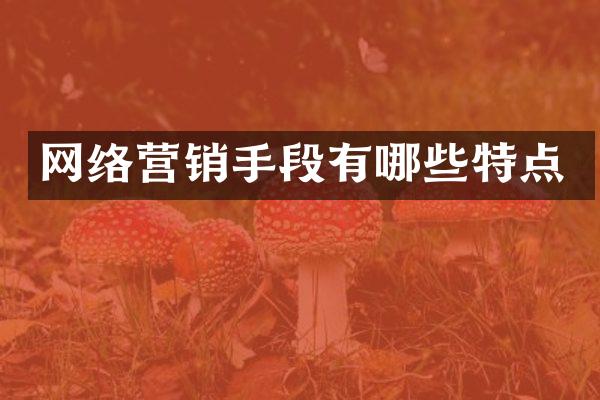 网络营销手段有哪些特点