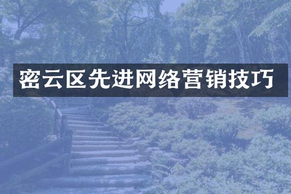 密云区先进网络营销技巧