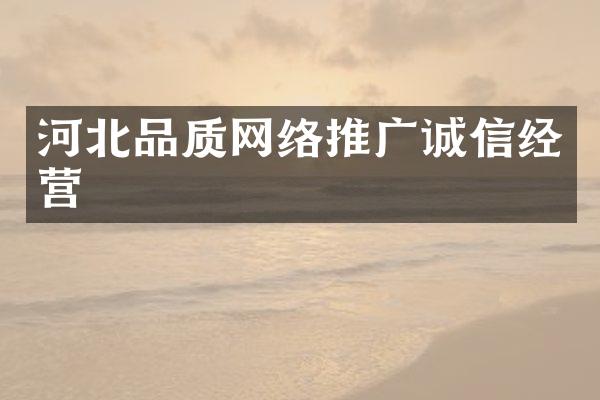河北品质网络推广诚信经营
