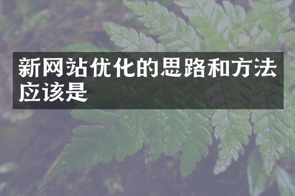 新网站优化的思路和方法应该是
