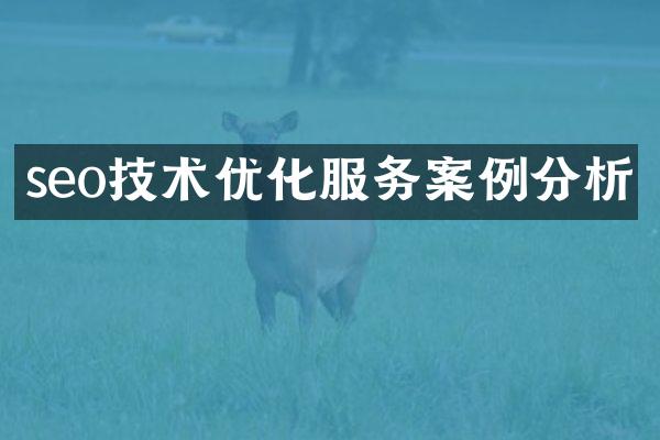 seo技术优化服务案例分析
