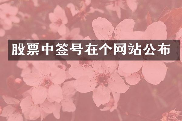 股票中签号在个网站公布
