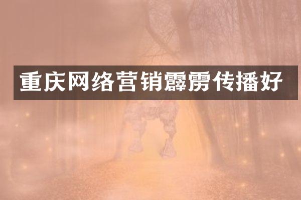 重庆网络营销霹雳传播好