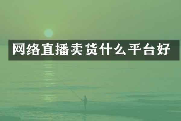 网络直播卖货什么平台好