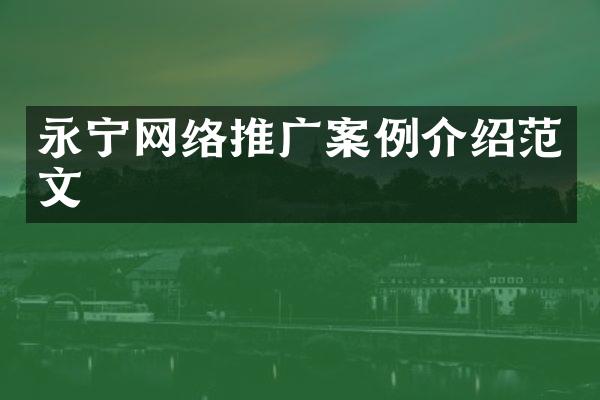 永宁网络推广案例介绍范文