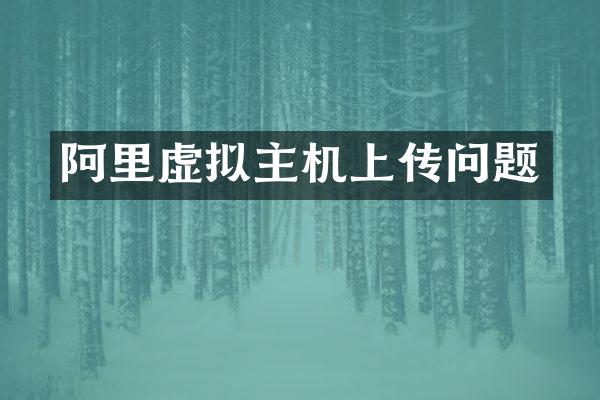 阿里虚拟主机上传问题