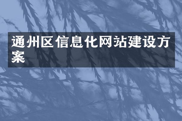 通州区信息化网站建设方案