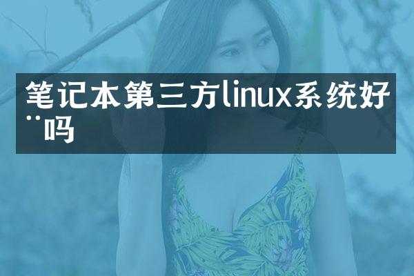 笔记本第三方linux系统好用吗
