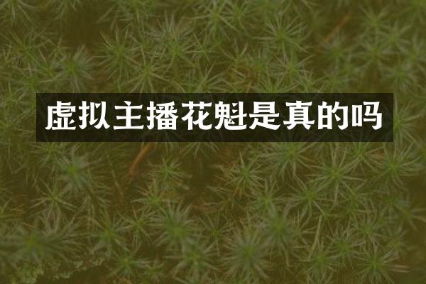 虚拟主播花魁是真的吗