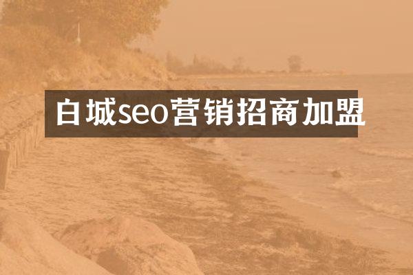 白城seo营销招商加盟