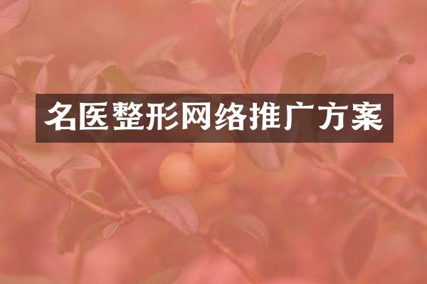 名医整形网络推广方案