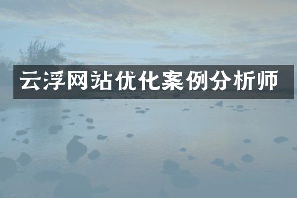 云浮网站优化案例分析师