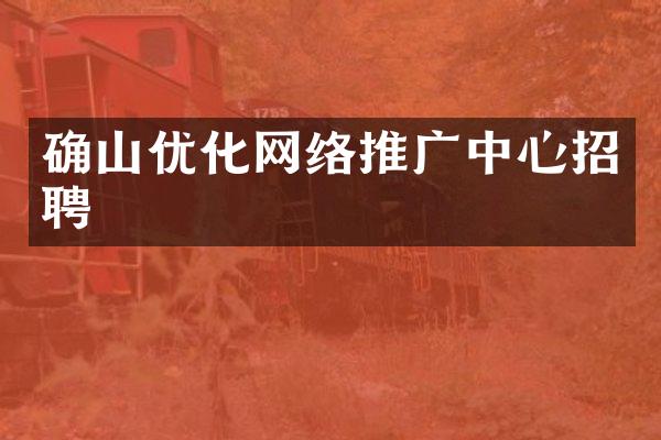 确山优化网络推广中心招聘