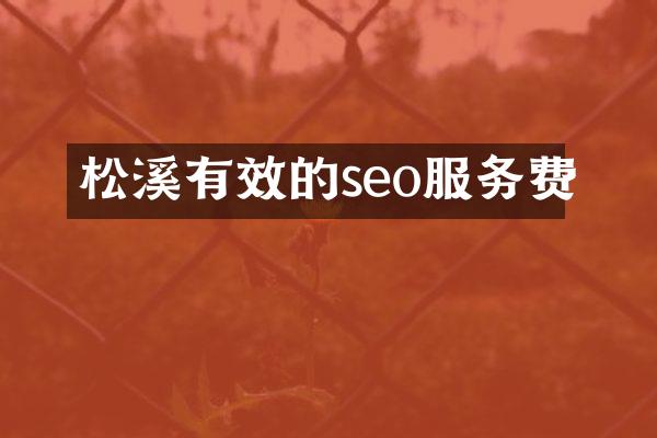松溪有效的seo服务费