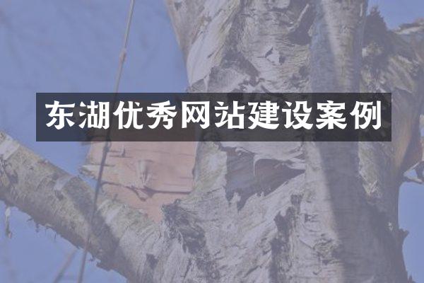 东湖优秀网站建设案例