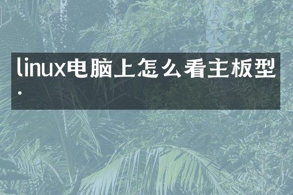 linux电脑上怎么看主板型号
