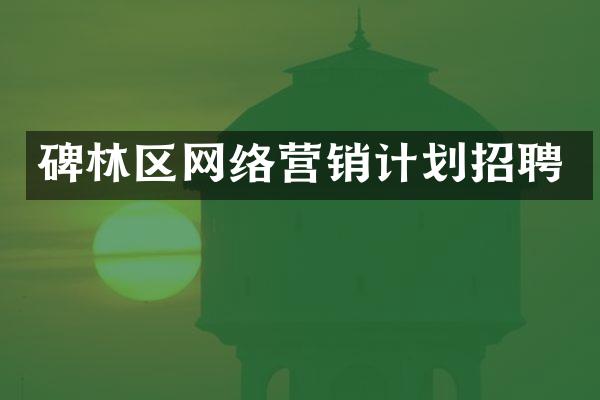 碑林区网络营销计划招聘