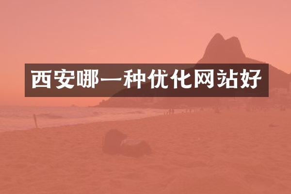 西安哪一种优化网站好