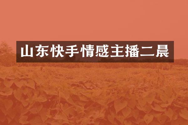 山东快手情感主播二晨