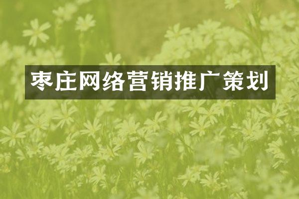 枣庄网络营销推广策划