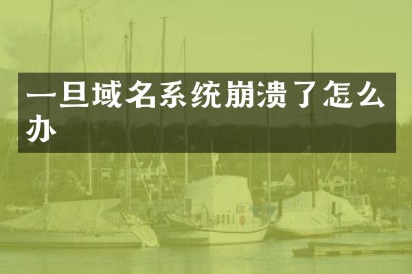 一旦域名系统崩溃了怎么办