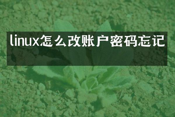 linux怎么改账户密码忘记了